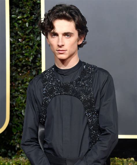 timothee chalamet lv harness